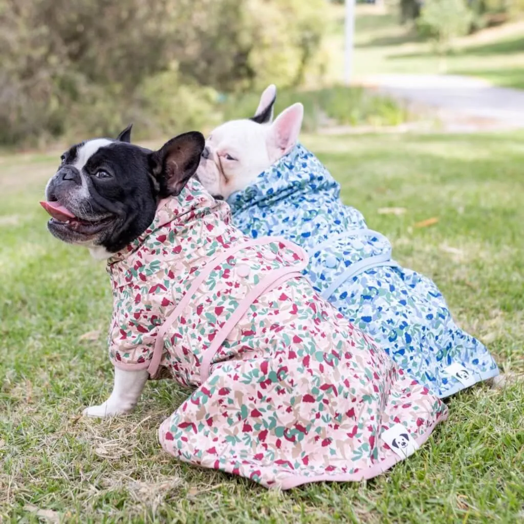 Beat the Elements Dog Raincoat | Pink Ditsy