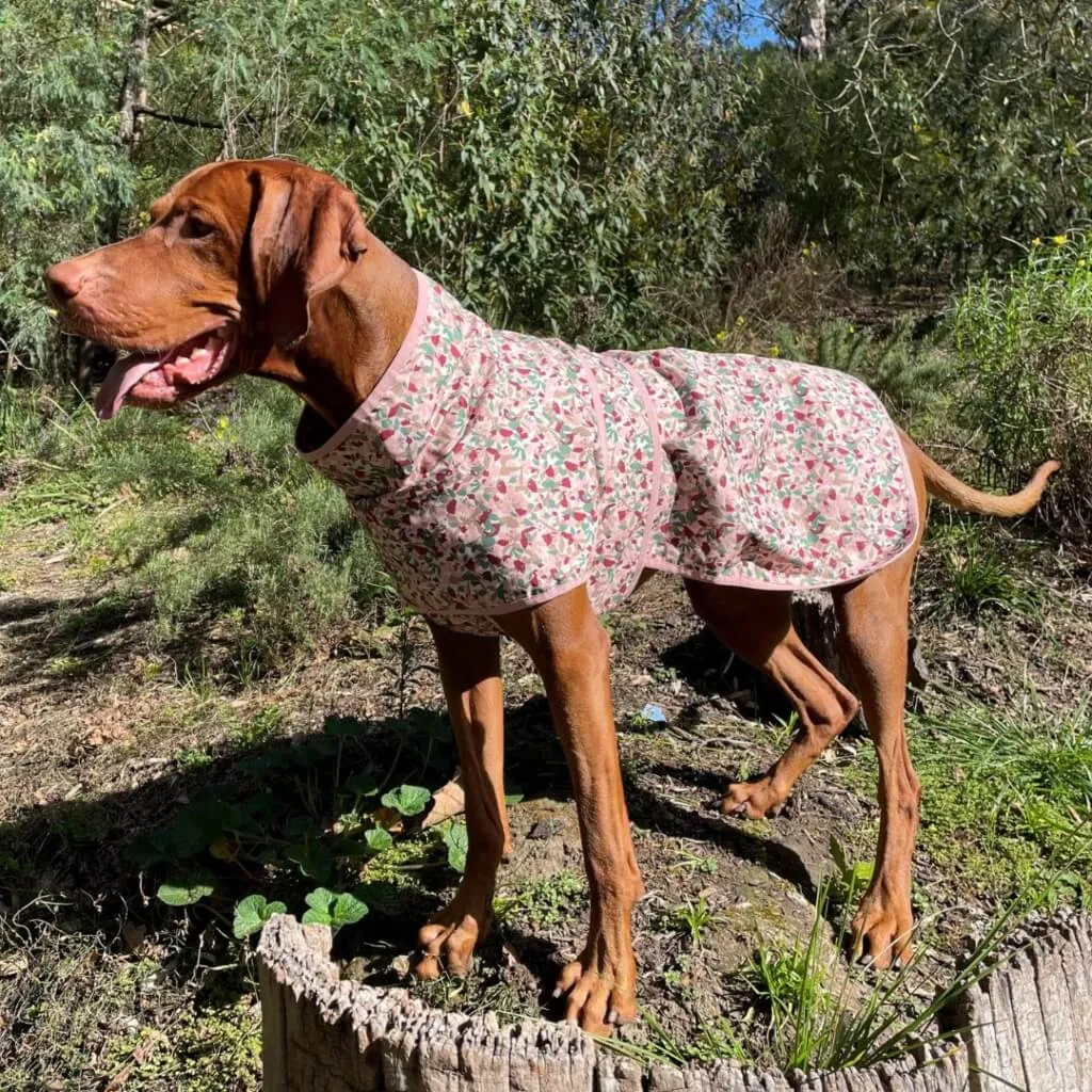 Beat the Elements Dog Raincoat | Pink Ditsy