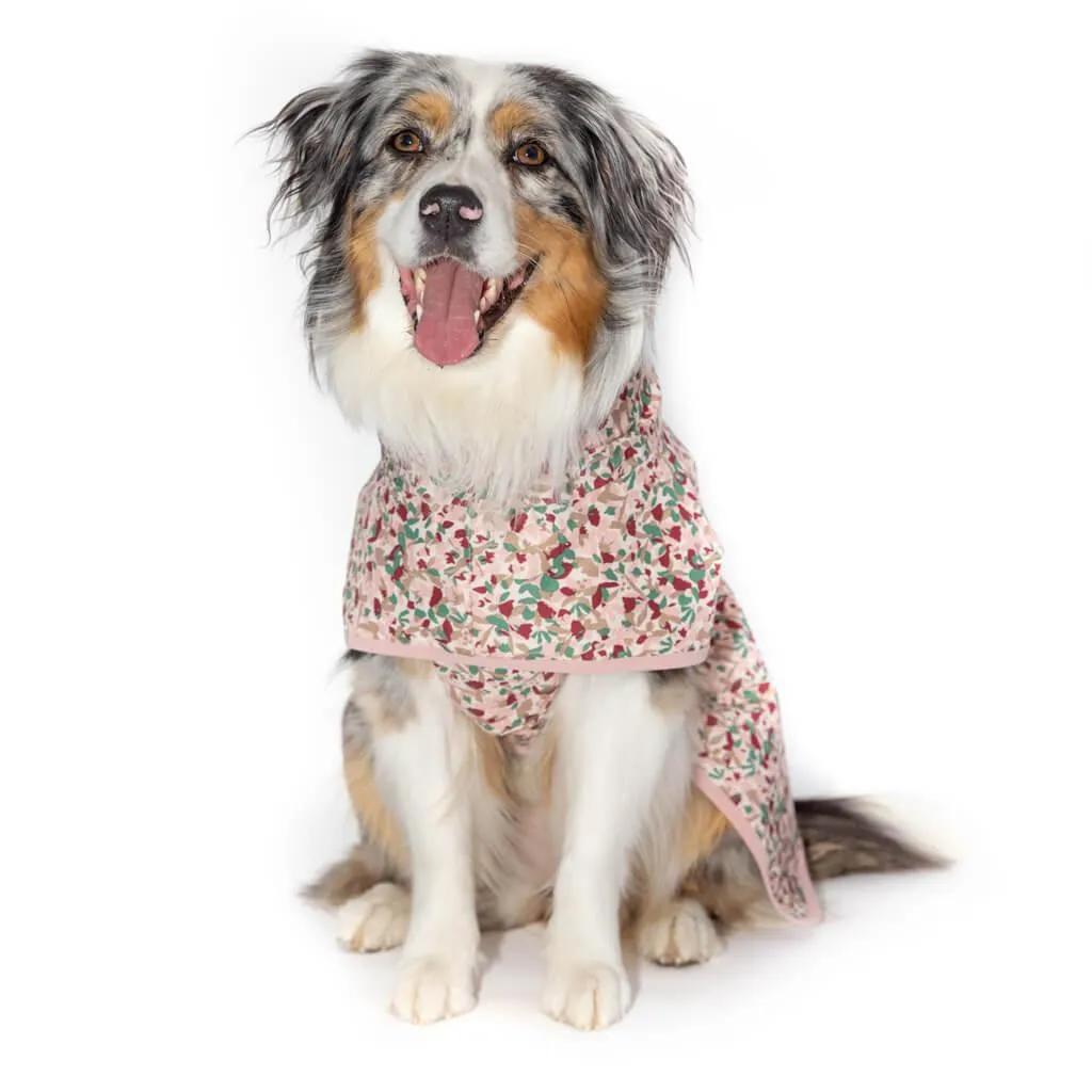 Beat the Elements Dog Raincoat | Pink Ditsy