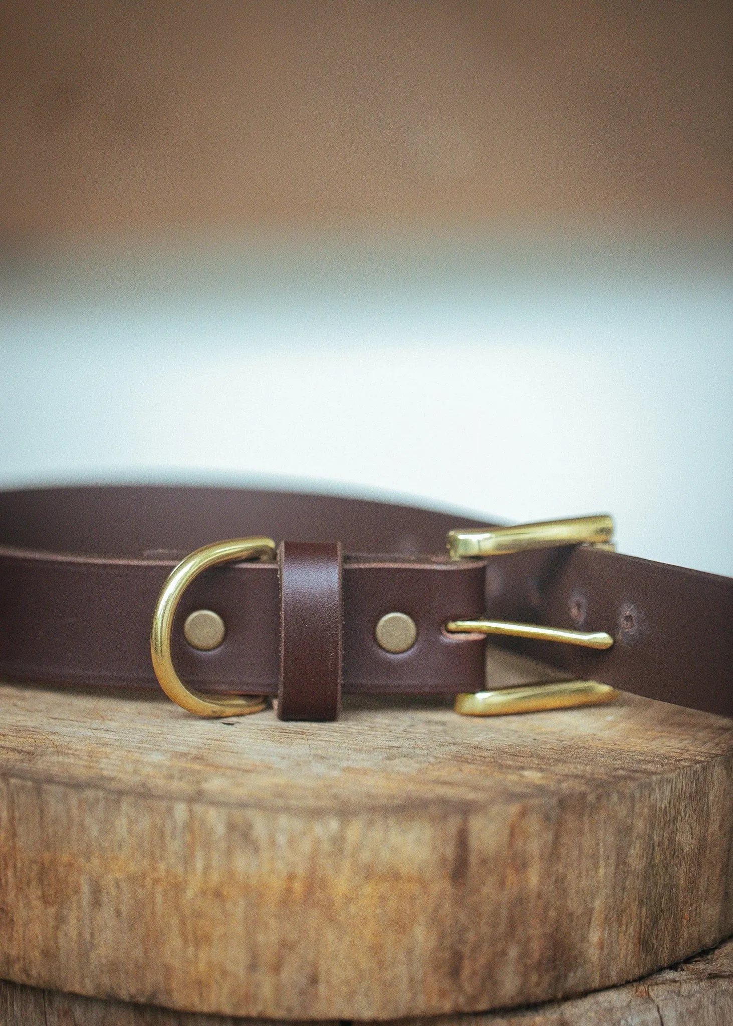 Classic Dog Collar - 30mm - Burgundy