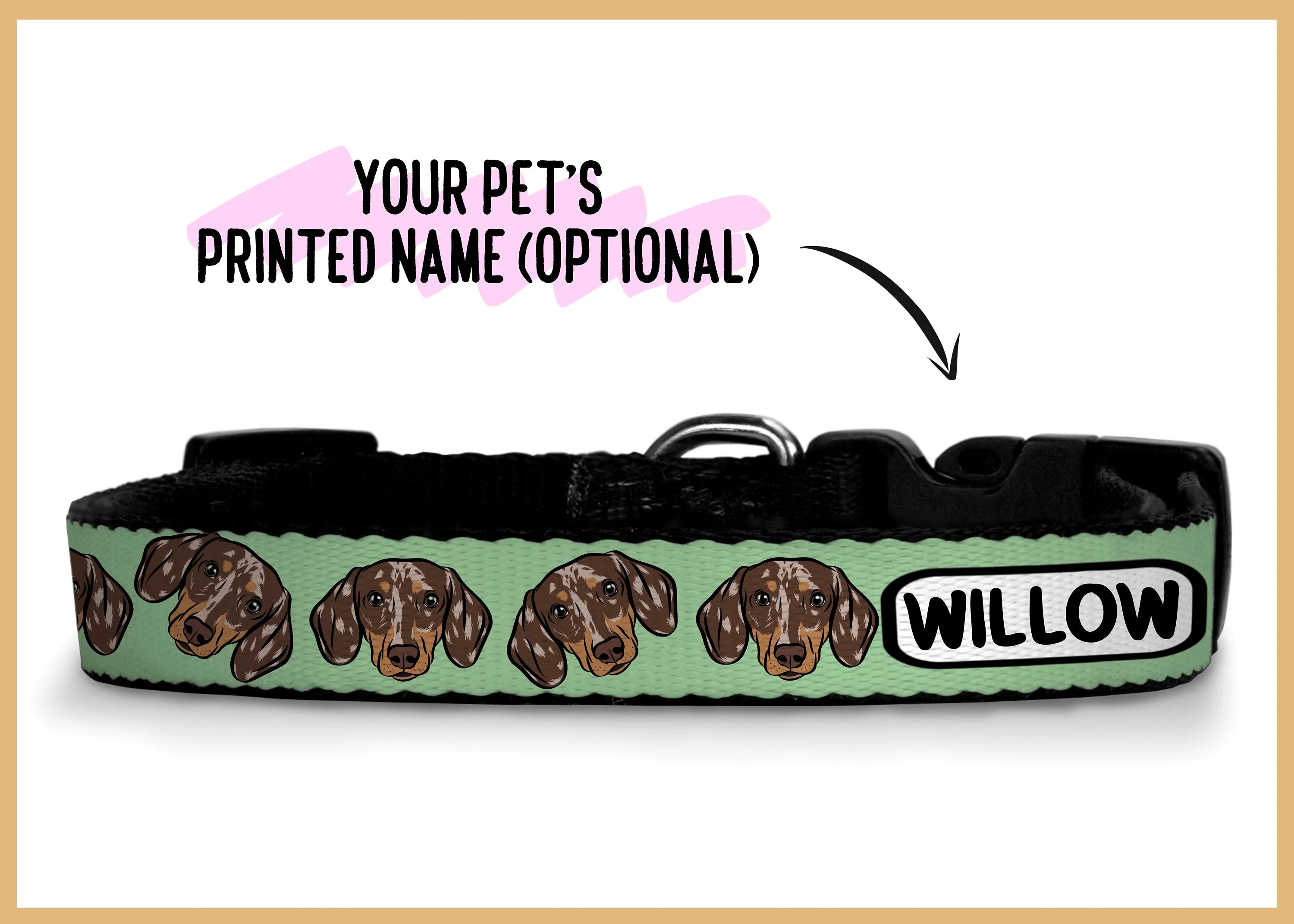 Dachshund Collar