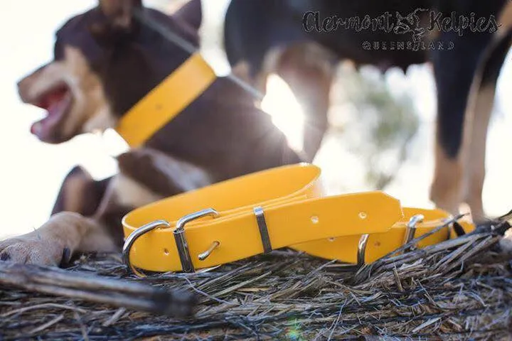 Dog Collar PVC 32mm x 55cm - Yellow