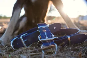 Dog Collar PVC 32mm x 70cm - Navy