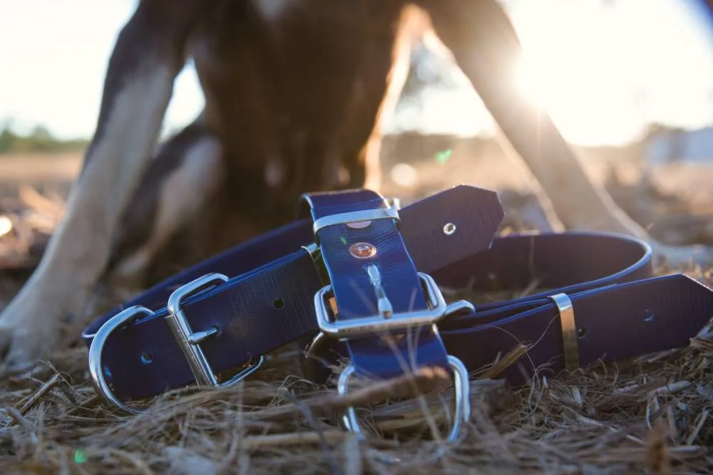Dog Collar PVC 32mm x 70cm - Navy