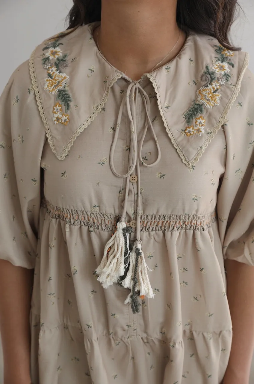 Embroidered Peter Pan Collar Dress