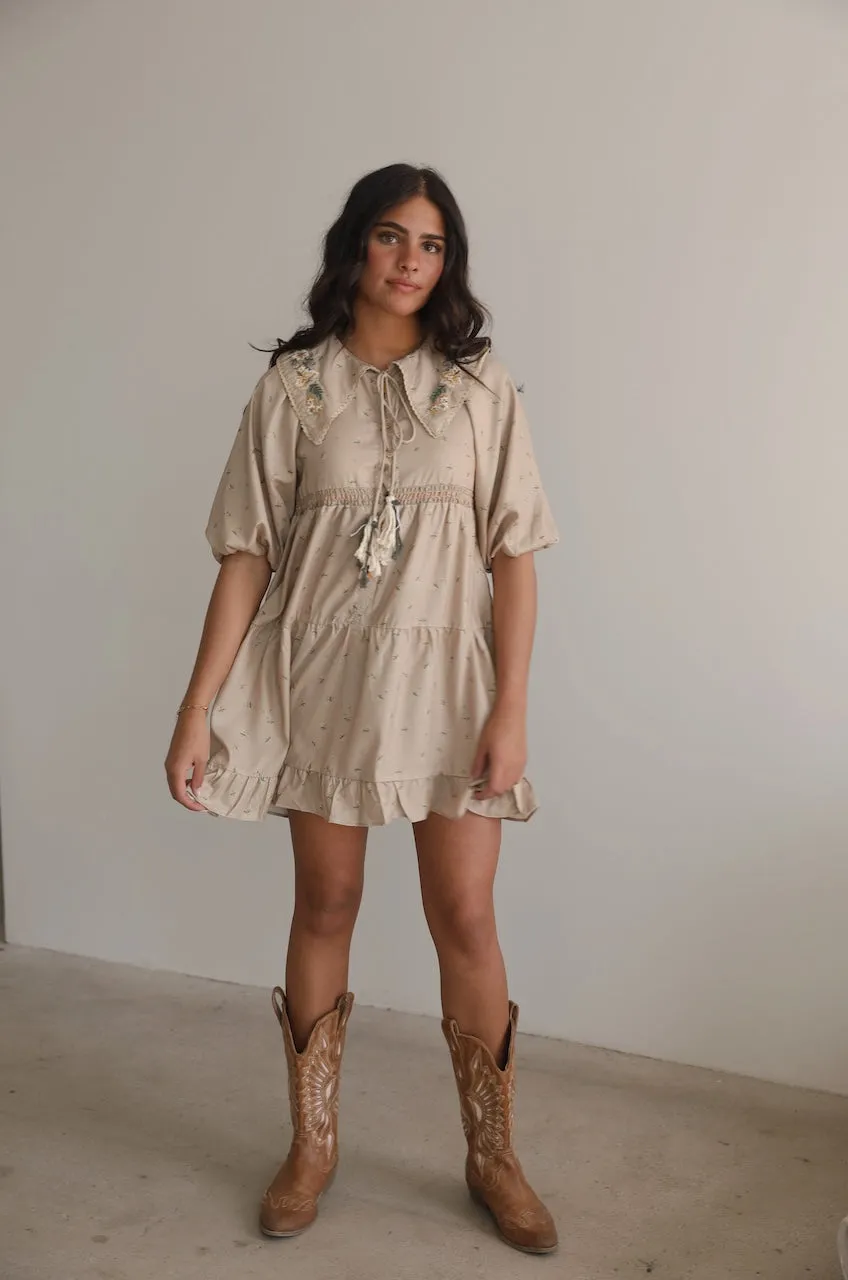 Embroidered Peter Pan Collar Dress