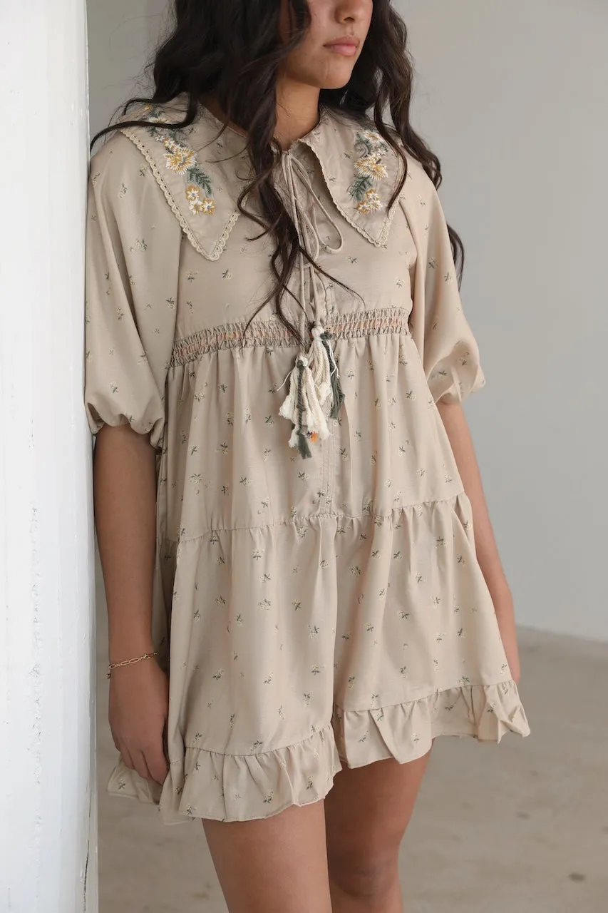 Embroidered Peter Pan Collar Dress