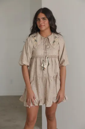 Embroidered Peter Pan Collar Dress