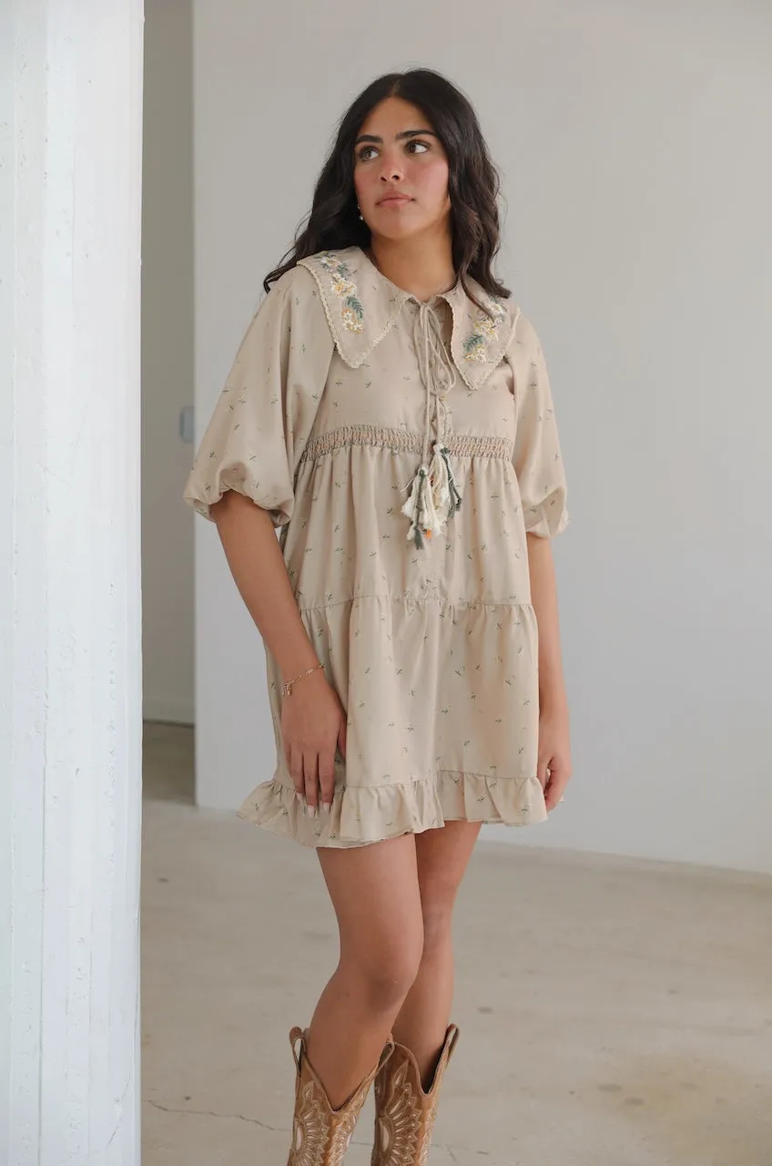 Embroidered Peter Pan Collar Dress