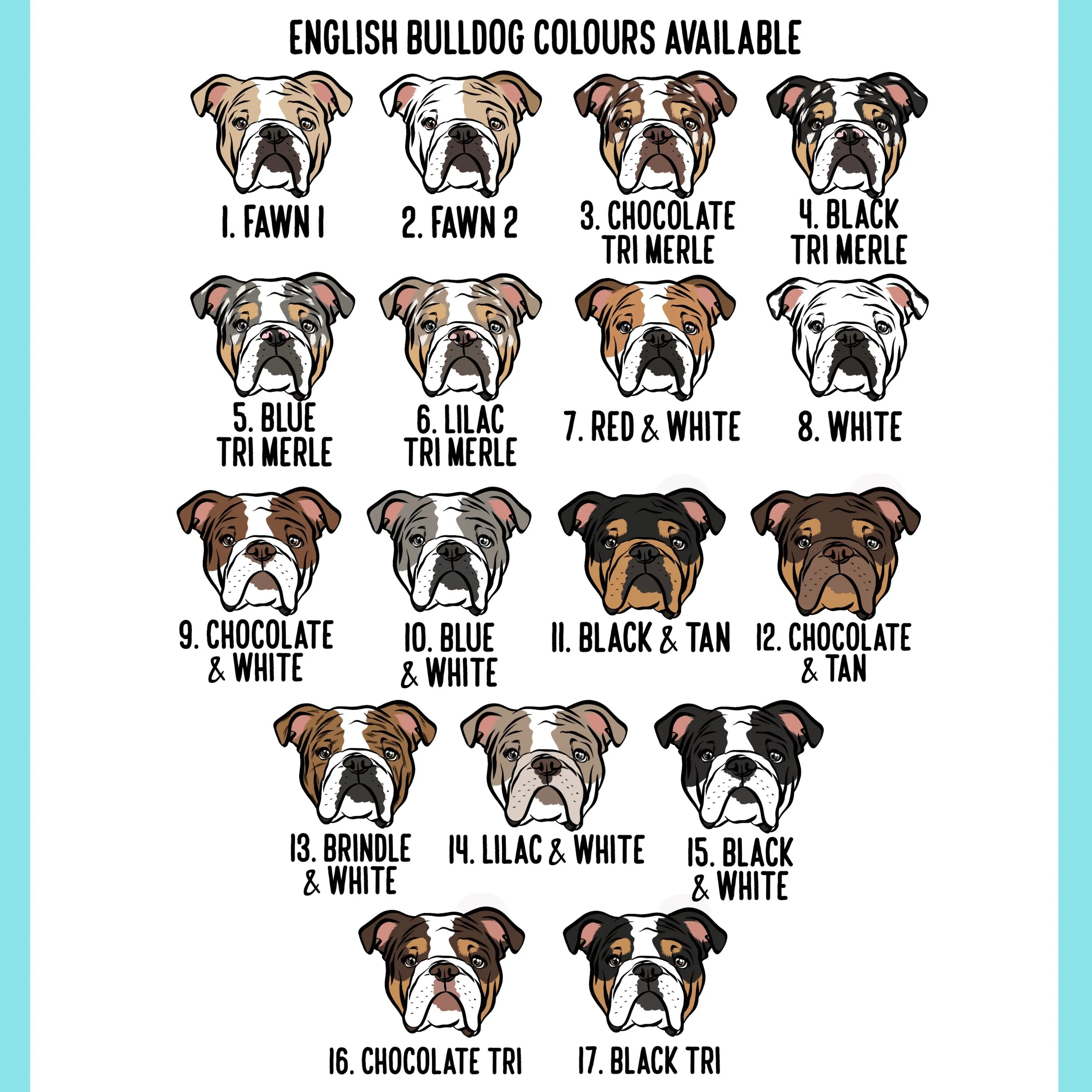 English Bulldog Collar
