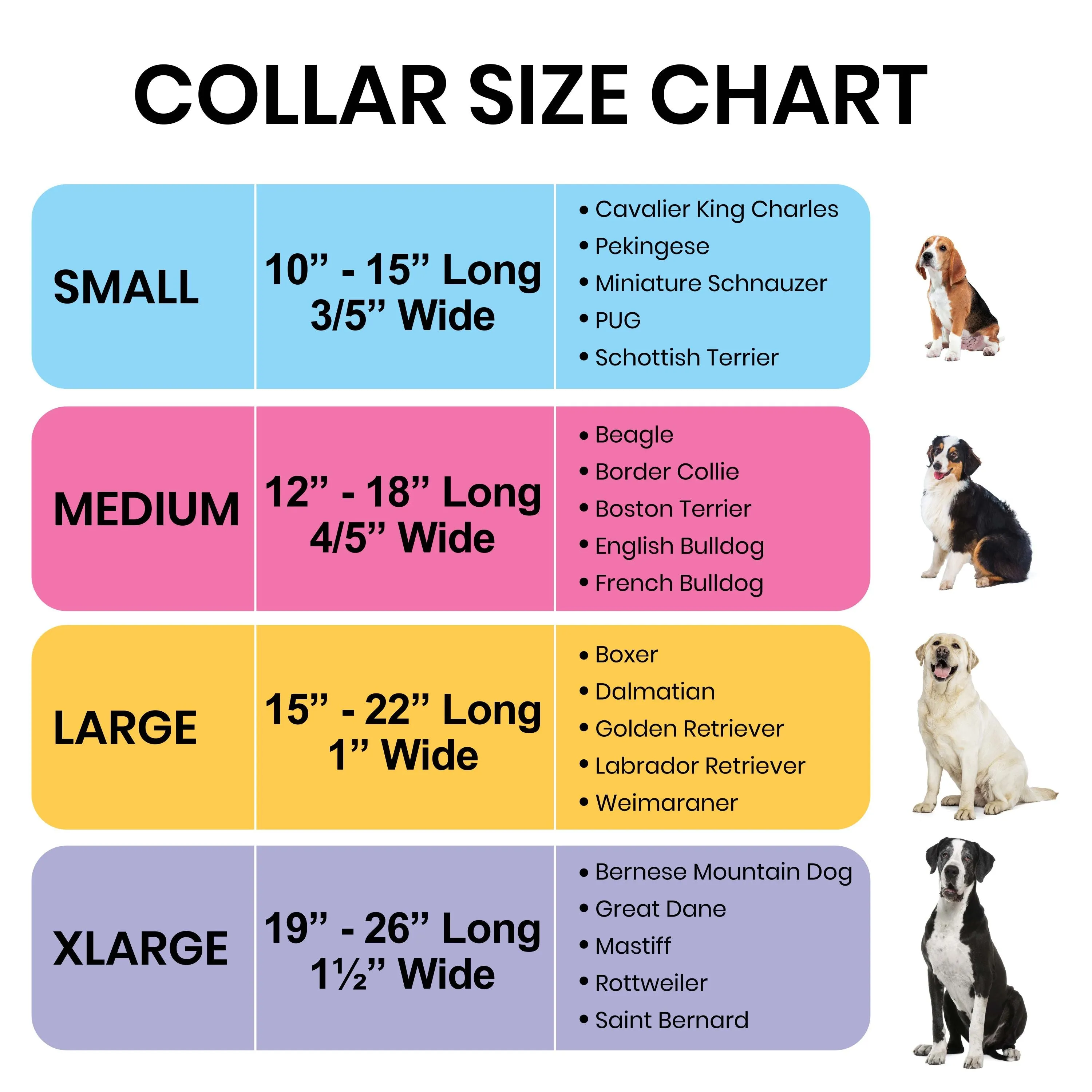 Nature Dog Collar  Boy and Girl Dog Collar - For puppies, medium and large dogs