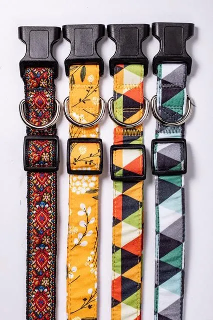 Nature Dog Collar  Boy and Girl Dog Collar - For puppies, medium and large dogs