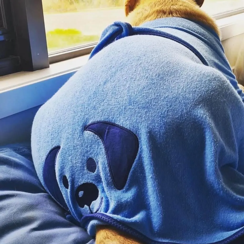 The Splish Splash Dog Drying Coat | Dazzling Blue