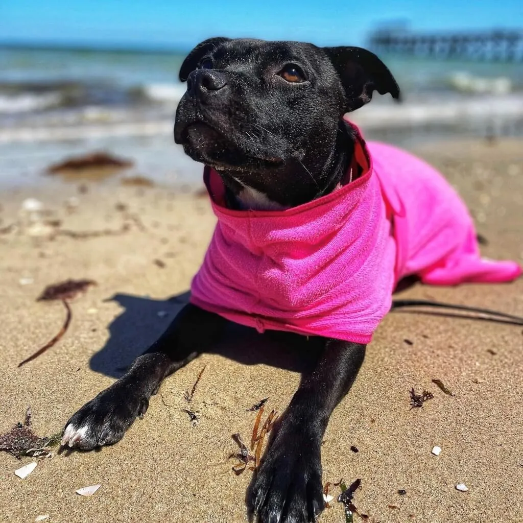 The Splish Splash Dog Drying Coat | Dazzling Pink