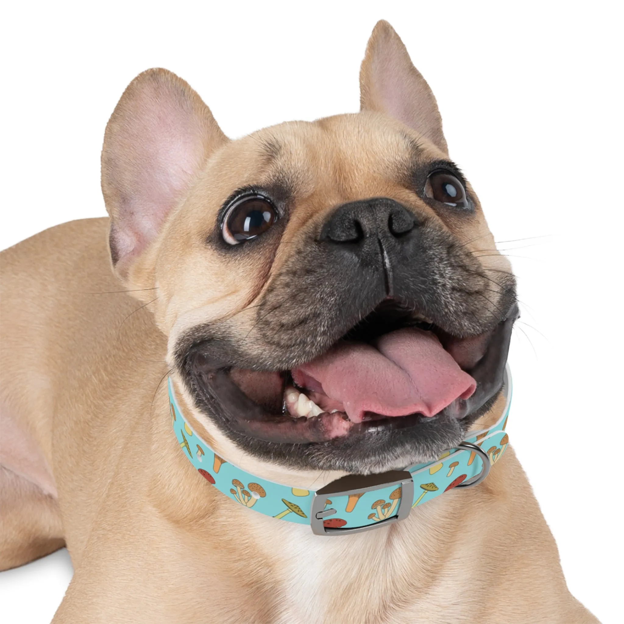 Trippy Mushroom Print Dog Collar