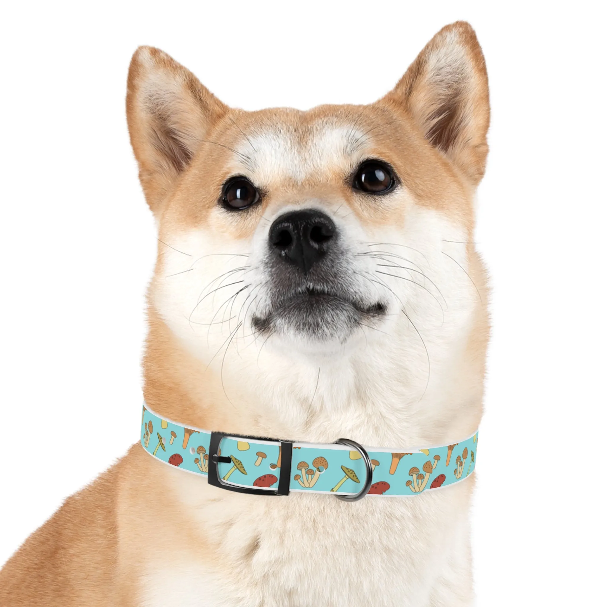 Trippy Mushroom Print Dog Collar