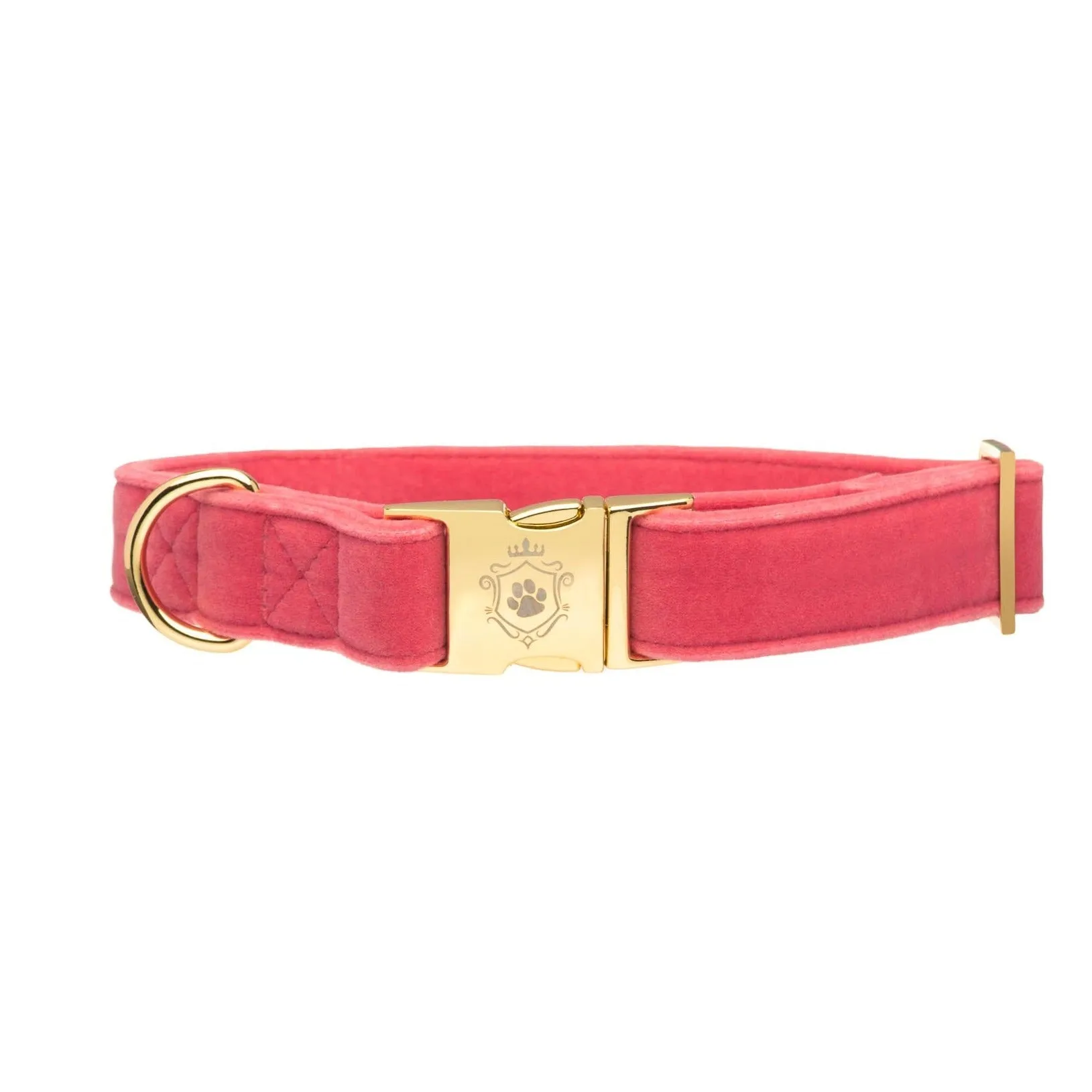 Valentine's Special Edition | Collar
